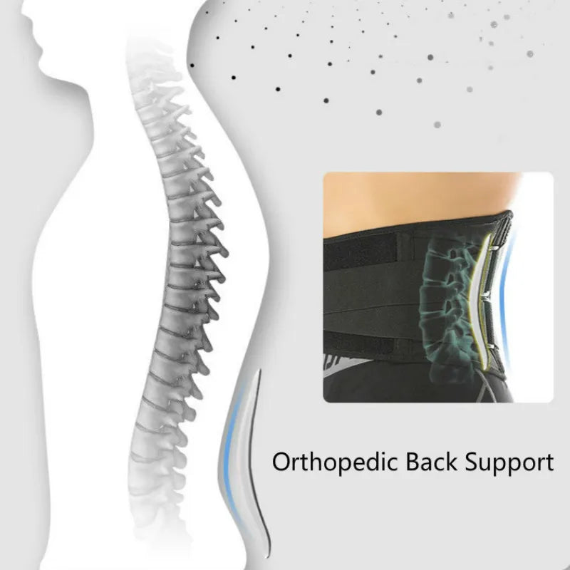 Medical-Grade Lumbar Support Belt