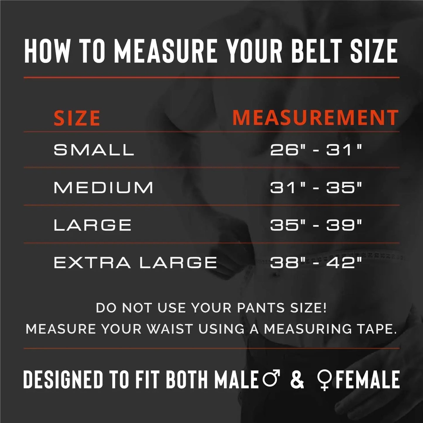 Premium Weight Lifting Belt